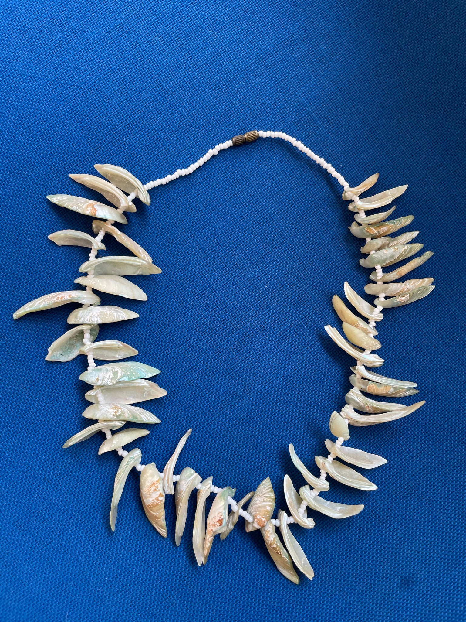 Shells Necklace