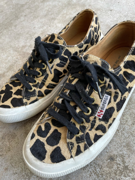 Leo Superga 39